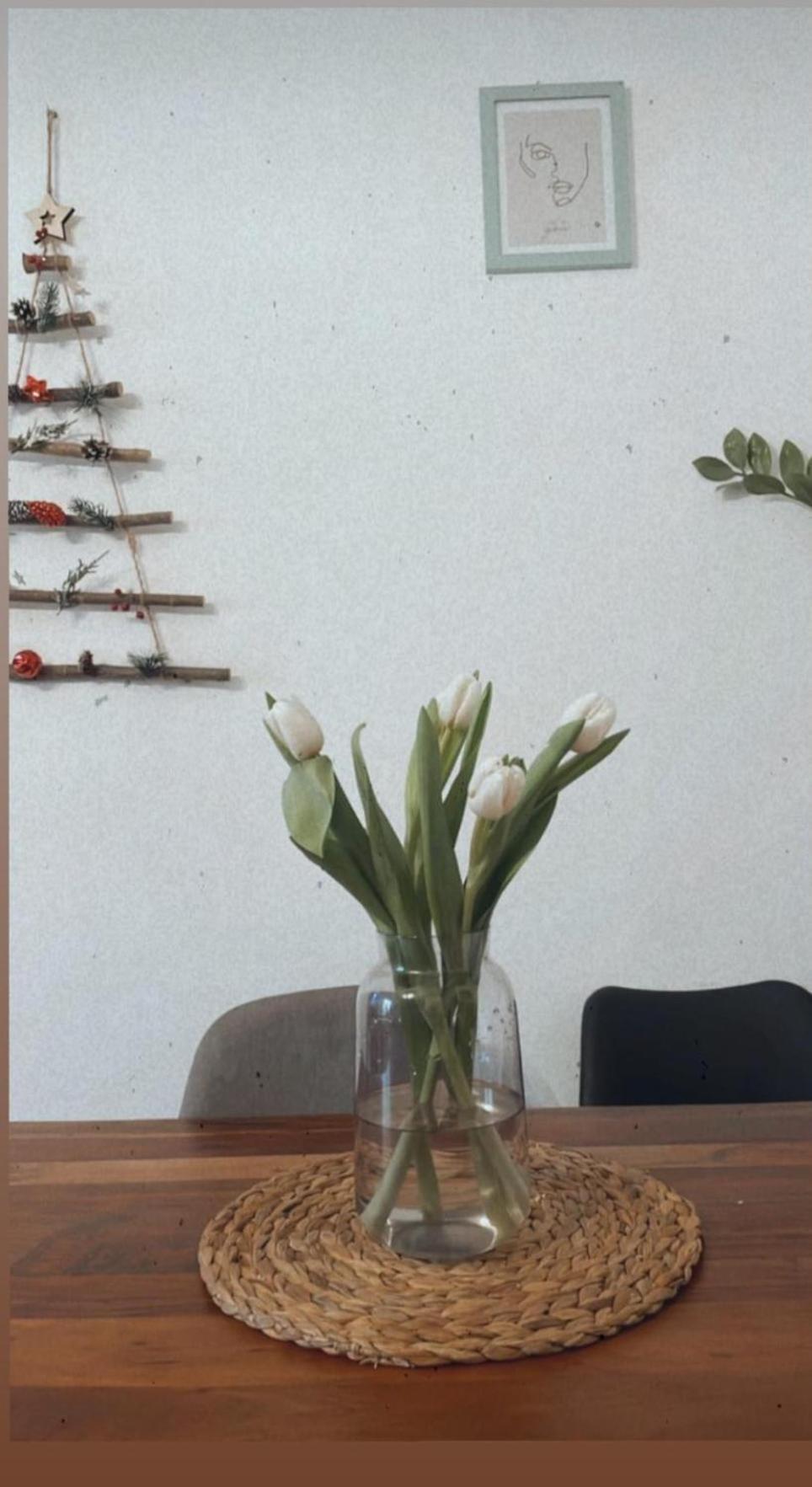 Apartma Ella Koper Dış mekan fotoğraf